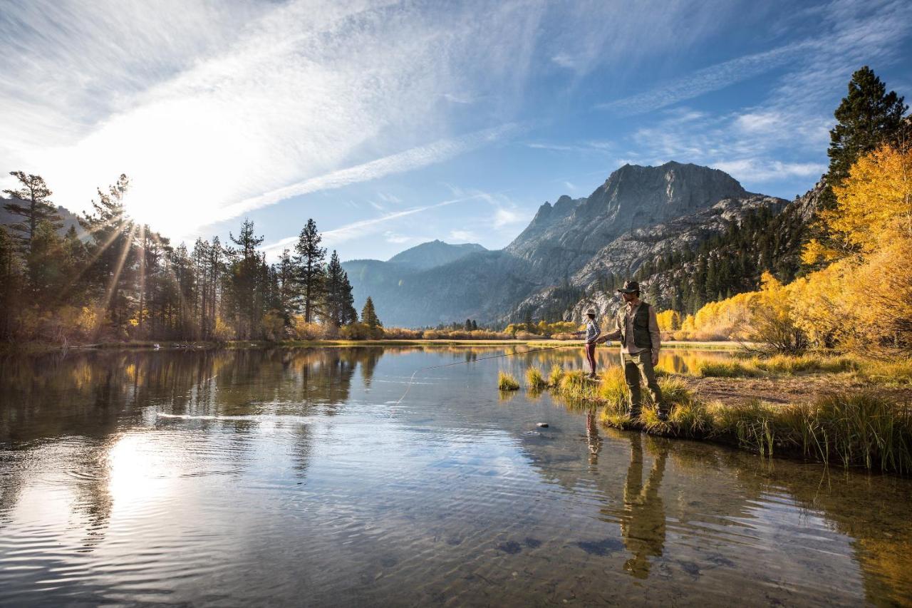 Mammoth Estates - Near Village At Mammoth & Pet Friendly